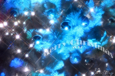 img_1136048_60763981_2のコピー