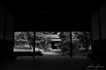 DSC_2809のコピー